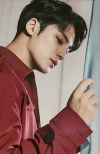 POL 周邊卡 行李箱卡