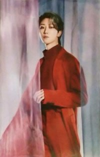 POL 周邊卡 行李箱卡