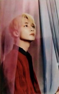 POL 周邊卡 行李箱卡