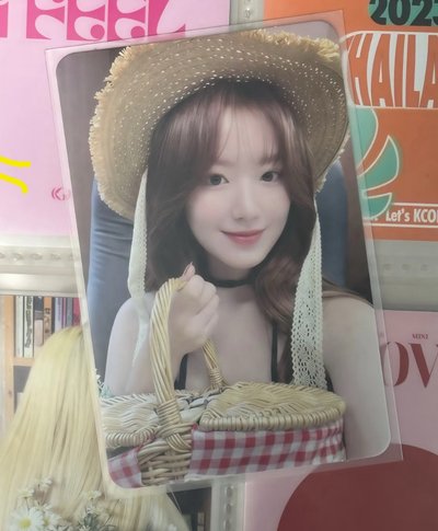 ms16貓抓刷 野餐刷