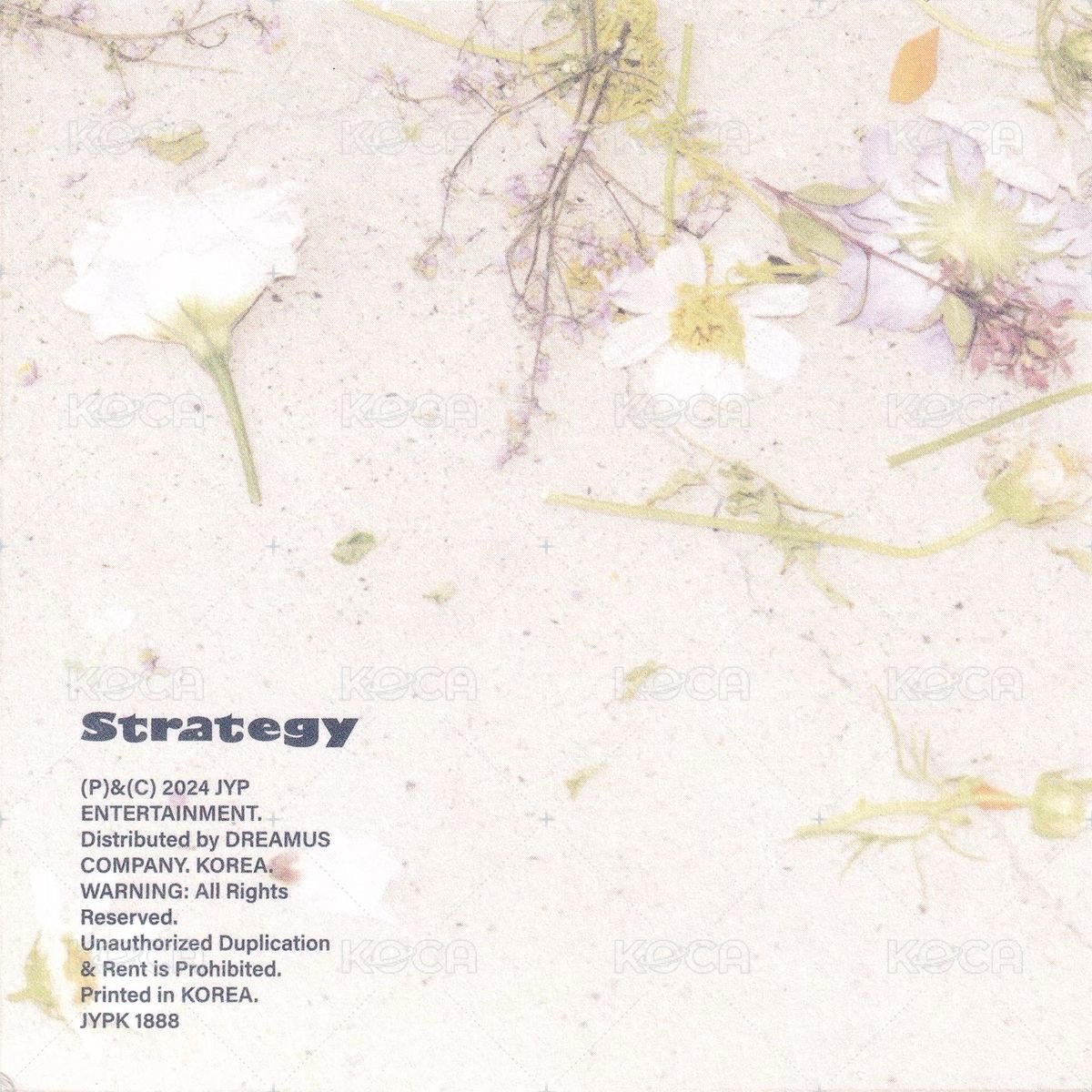 迷14 step4 專輯卡 方卡 背面