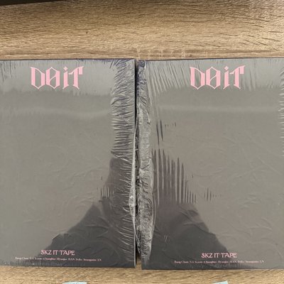 Stray kids Do it 限量版 空專（含鏡子/明信片）