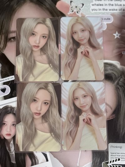 ive 秋/怜/員 平價小卡/中背