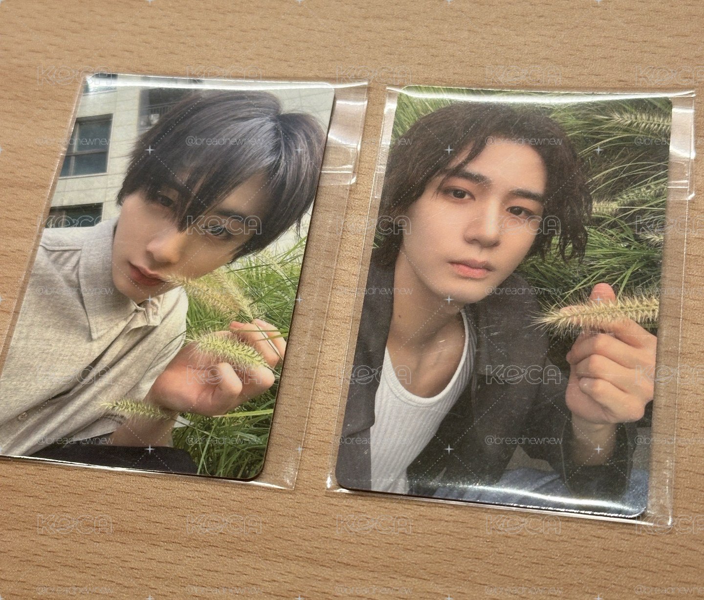 BOYNEXTDOOR 摸草貓 摸草魚