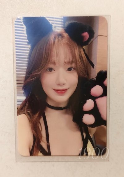 yzy5.0麻花辮刷、sr年曆比七刷、ms16貓抓野餐刷