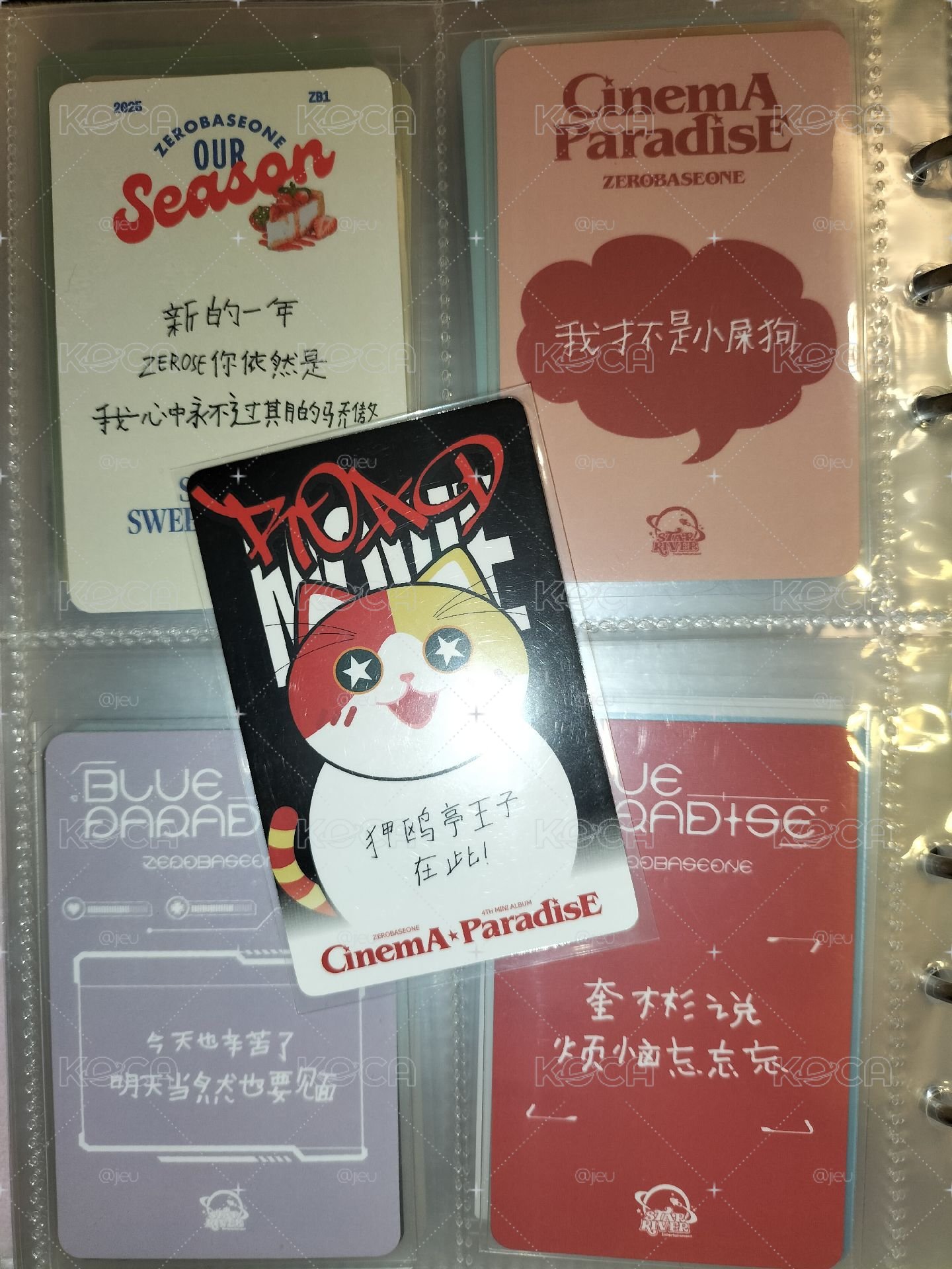 中文卡背 奎