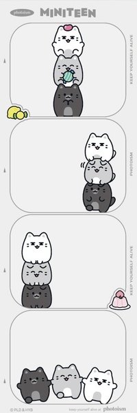 MINITEEN 人生四格卡 