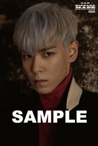 正規3 VIP JAPAN SHOP 明信片 特典