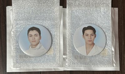 SEVENTEEN NEW_ 新巡徽章 奎率