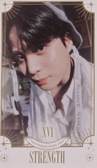 23' 4期會員禮 周邊卡 塔羅牌