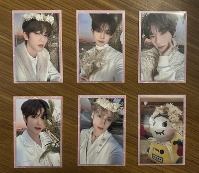 台灣場花環棕卡（角巴士）