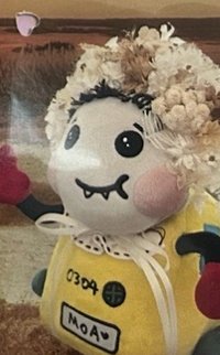 24’巡迴 入場卡 / 場限卡 角巴士