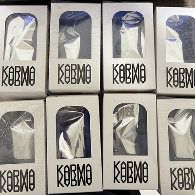 Stray kids Karma 電子專 娃專 已拆全專