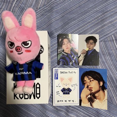 Stray kids Karma 電子專 娃專 已拆全專