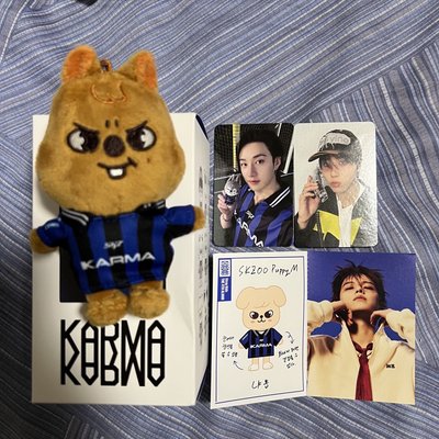 Stray kids Karma 電子專 娃專 已拆全專