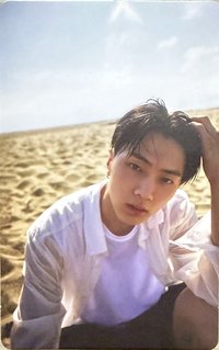 正一 wvs 特典卡 