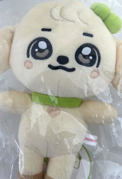 IVE MINIVE SCHOOL 20公分 娃娃玩偶 