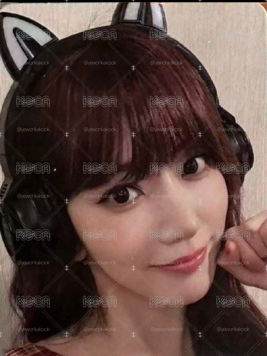 hello82 櫻花