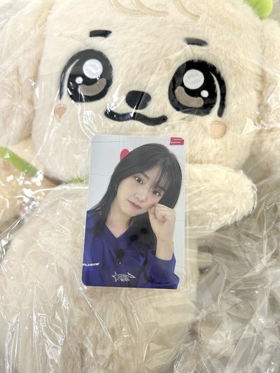 IVE MINIVE SCHOOL 30公分娃 大娃包