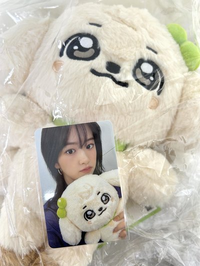 IVE MINIVE SCHOOL 30公分娃 大娃包