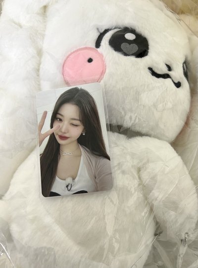 IVE MINIVE SCHOOL 30公分娃 大娃包