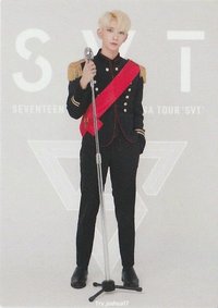 ‘SVT’ 隨機卡 
