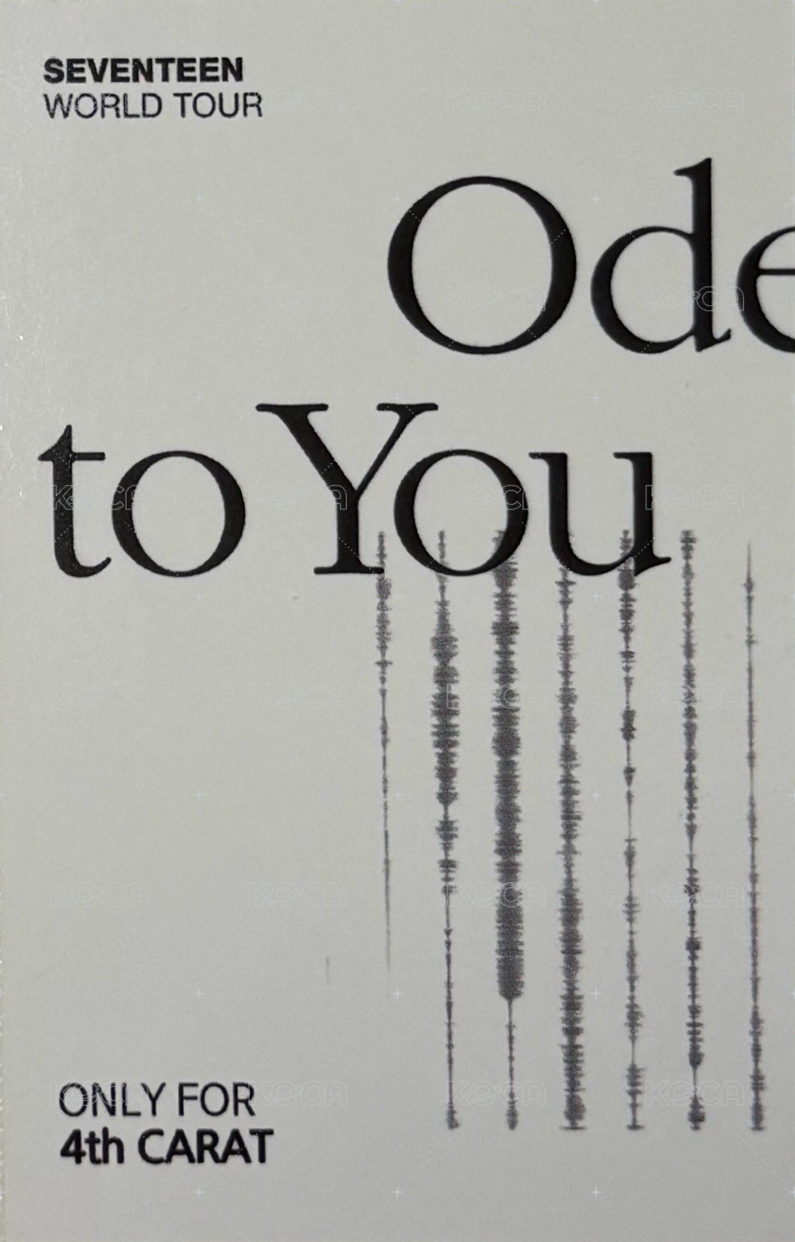 19’OTY 入場卡 / 場限卡 沙漠粽 背面