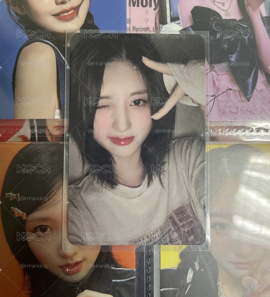 馬簽秋