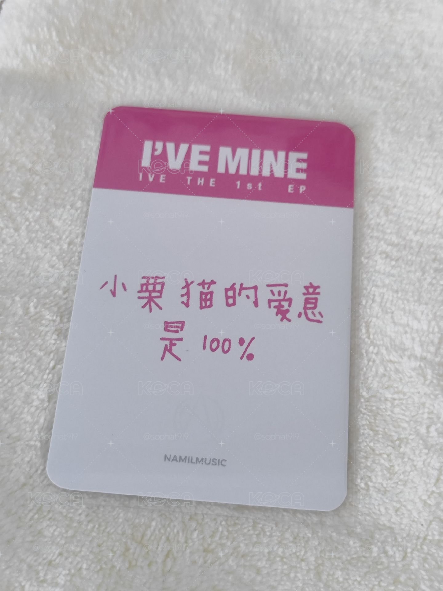 ny1中背栗