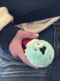 安錢鎬🐶