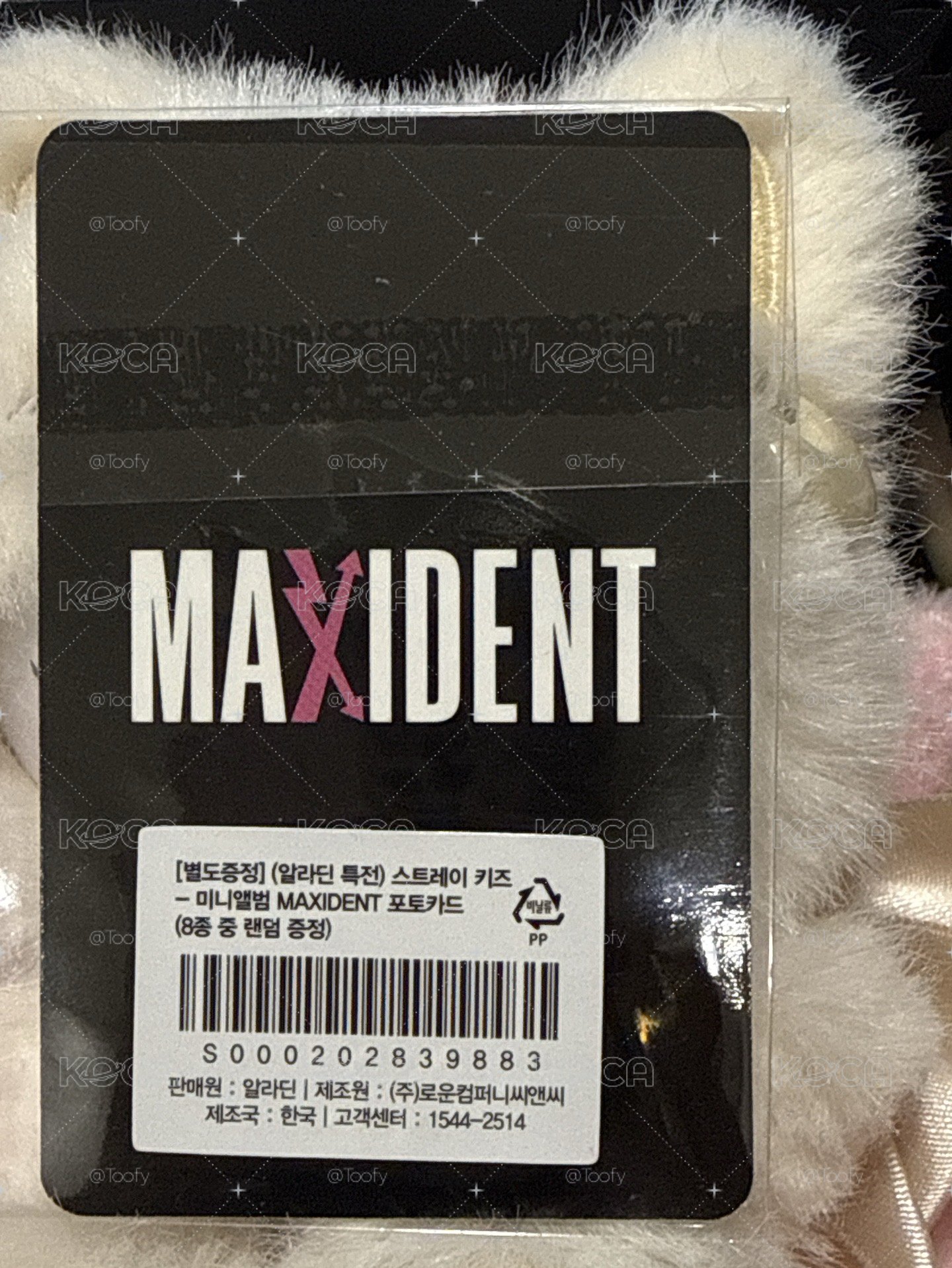 MAXIDENT 阿拉丁 特典卡 