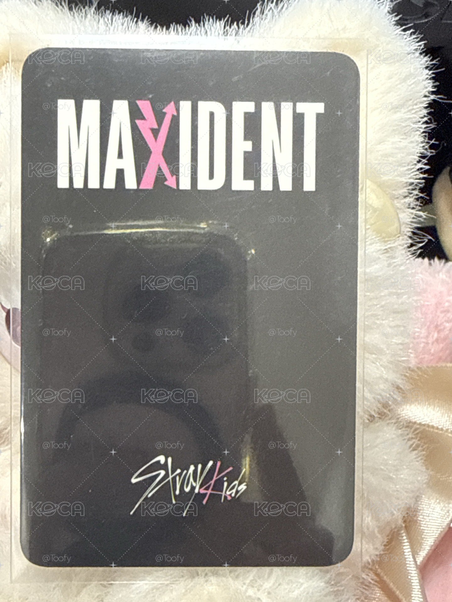 MAXIDENT k4 特典卡 