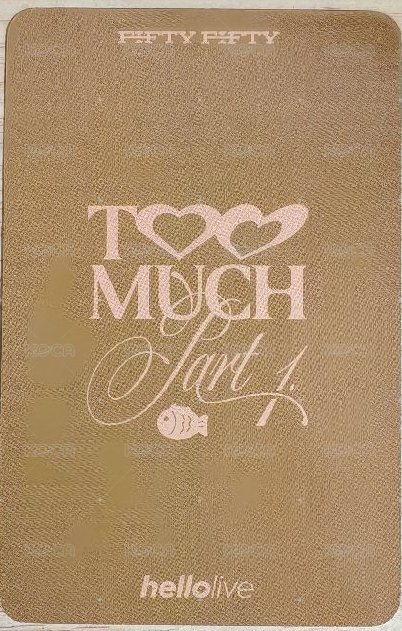 TOO MUCH PART1 hl 線下 1.0 簽售卡 鯛魚燒版 背面