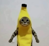 yyuy（請先看主頁🤍）