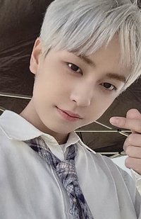 2024 wvs con wvs 入場卡 / 場限卡 