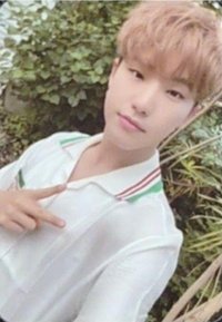 2021 DICON 雜誌卡 