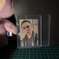 正五專輯卡（三張）