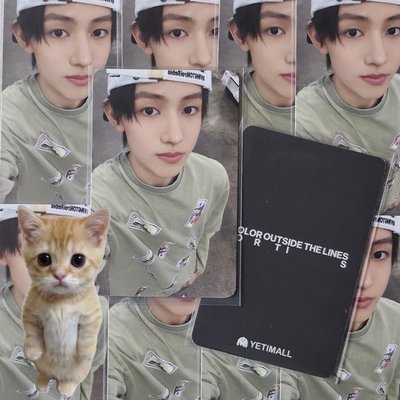 CORTIS YETI幸運卡 成玹 小貓罰站*請看內文