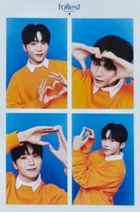 代言 人生四格卡 Forest