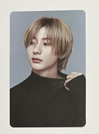 看似高領實際薄紗