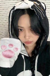 TNVS sr 2.0 線上 簽售卡 小貓