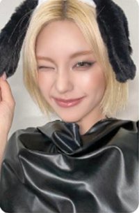 TNVS sr 4.0 簽售卡 小狗