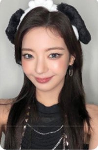 TNVS sr 4.0 簽售卡 小狗