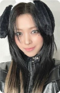 TNVS sr 4.0 簽售卡 小狗