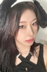 TNVS sr 4.0 簽售卡 小狗