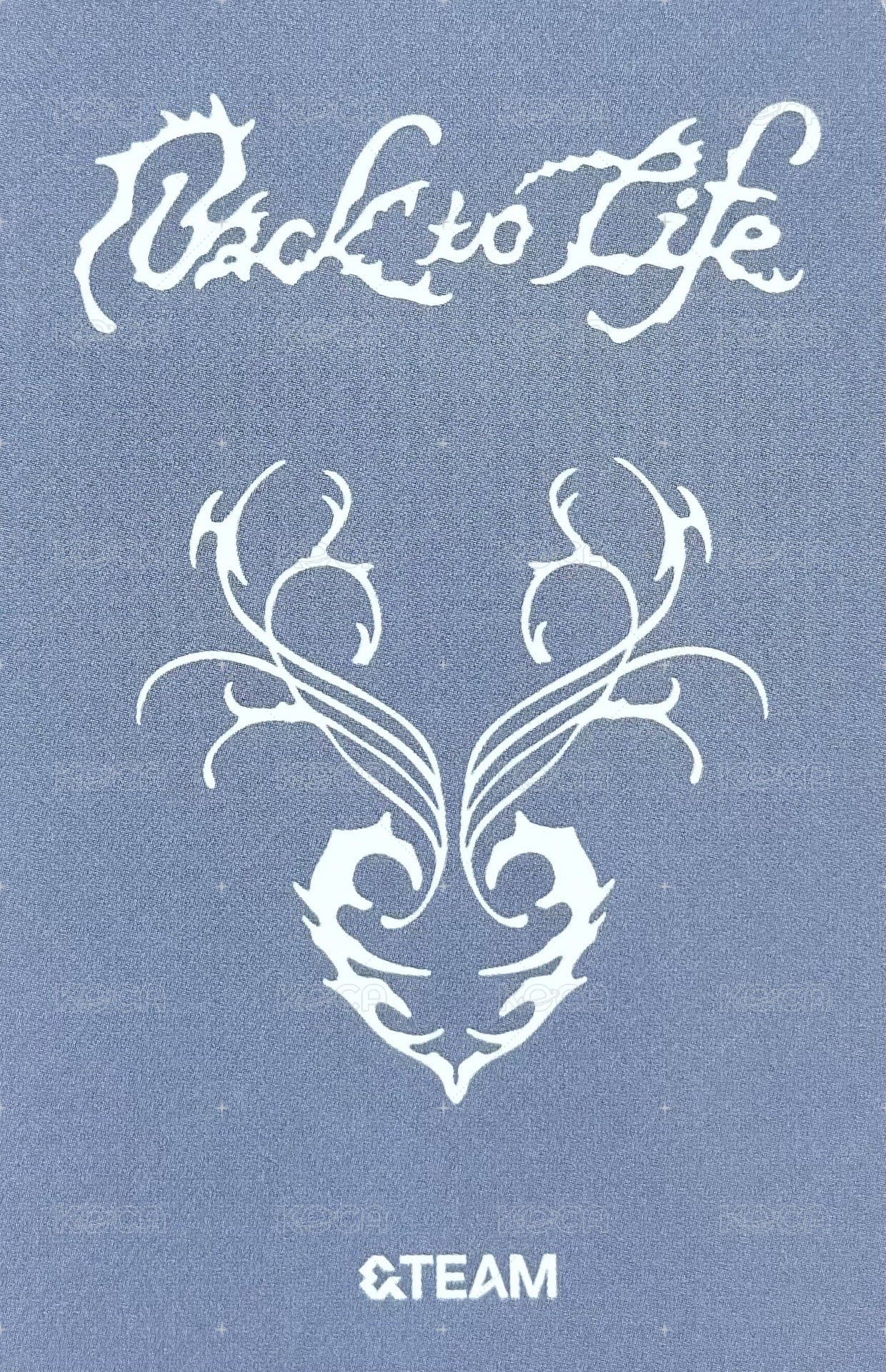 BTL yzy 1.0 幸運卡  背面