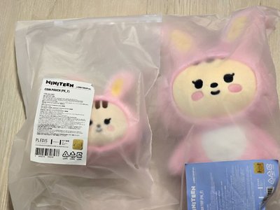 代友售 miniteen漢