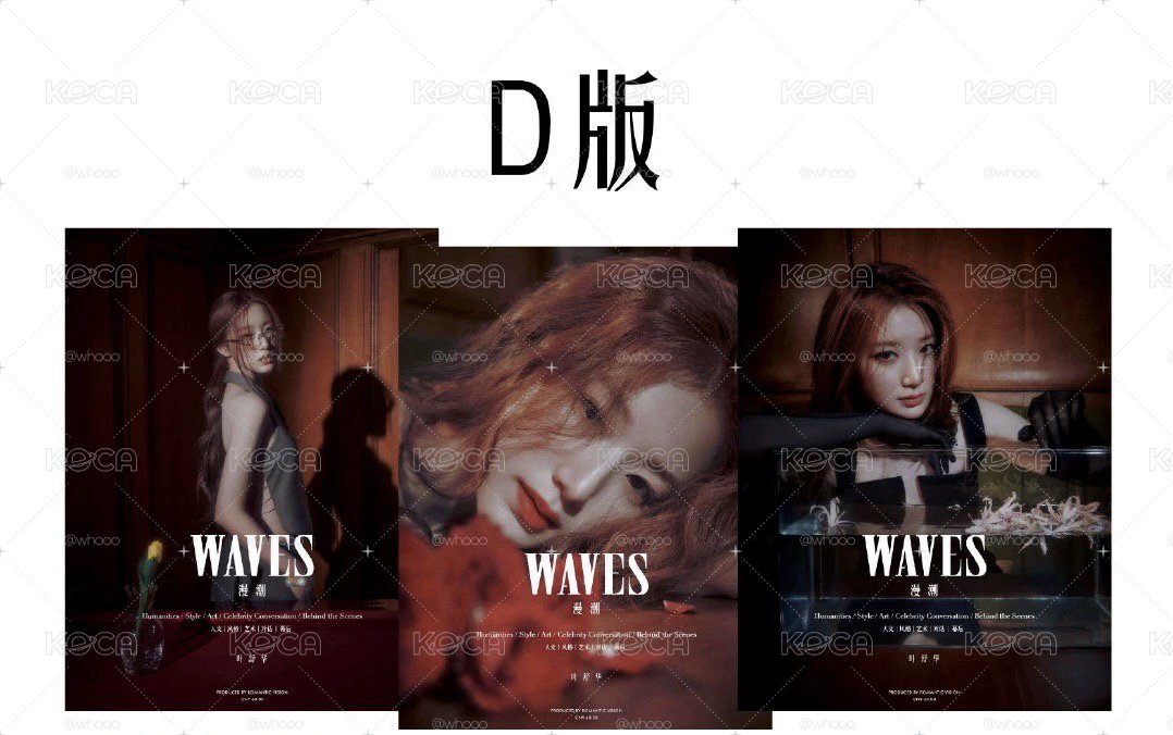 雜誌 waves漫潮
