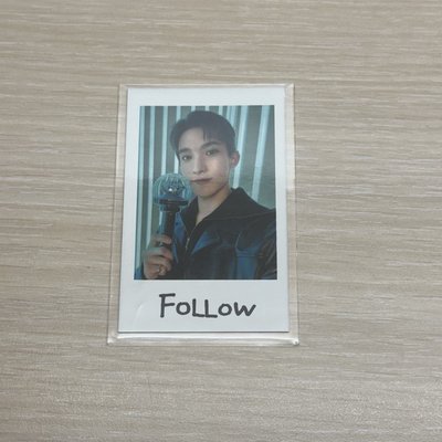 SEVENTEEN 李碩珉 DK 拍立得