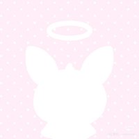 나의 작은 아기 고양이